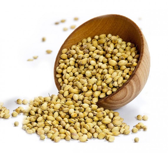 coriander coriander